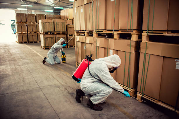 Best Exterminator Services  in Baxter Estates, NY