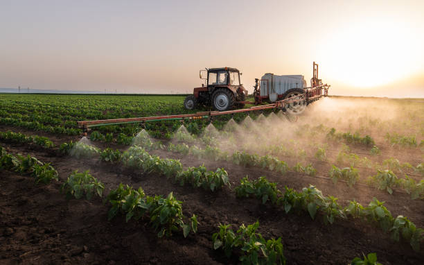 Best Best Pest Control Companies  in Baxter Estates, NY