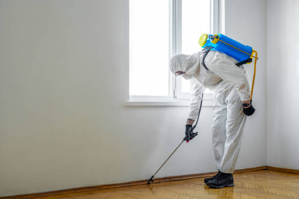 Pest Control for Restaurants in Baxter Estates, NY
