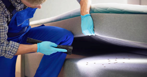 Best Wasp Removal Services  in Baxter Estates, NY