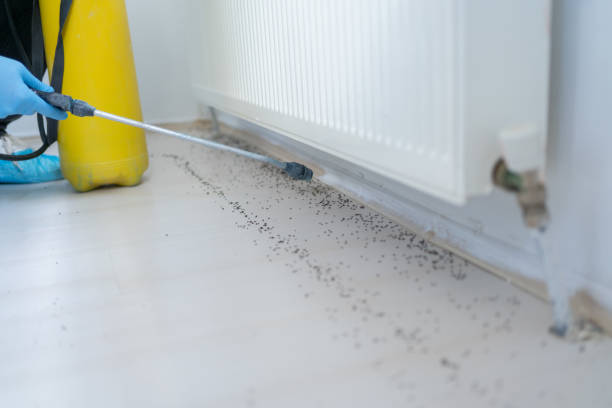 Reliable Baxter Estates, NY Pest Control Solutions