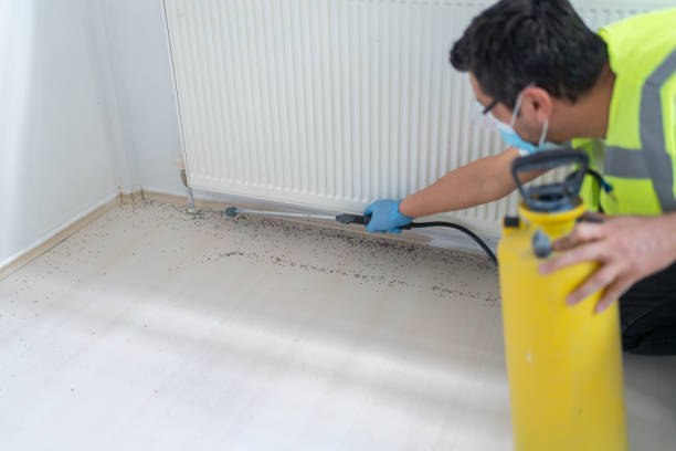 Best Pest Removal Services  in Baxter Estates, NY