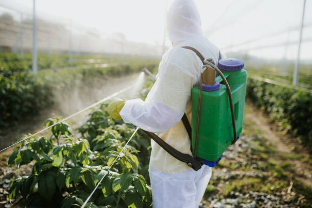 Best Local Pest Control Services  in Baxter Estates, NY